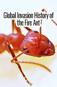 The Global Invasion: History of the Fire Ant