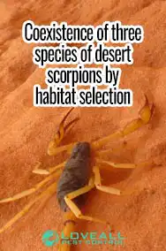 Coexistence of Three Species of Desert Scorpions by Habitat Selection